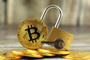 Bitcoin Price Insurance and Protection