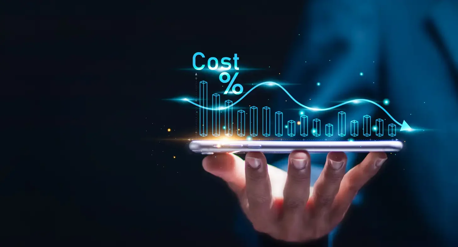Cost Optimization Strategies