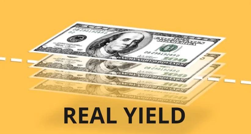 Diverging Sensitivities to Real Yields and the Dollar